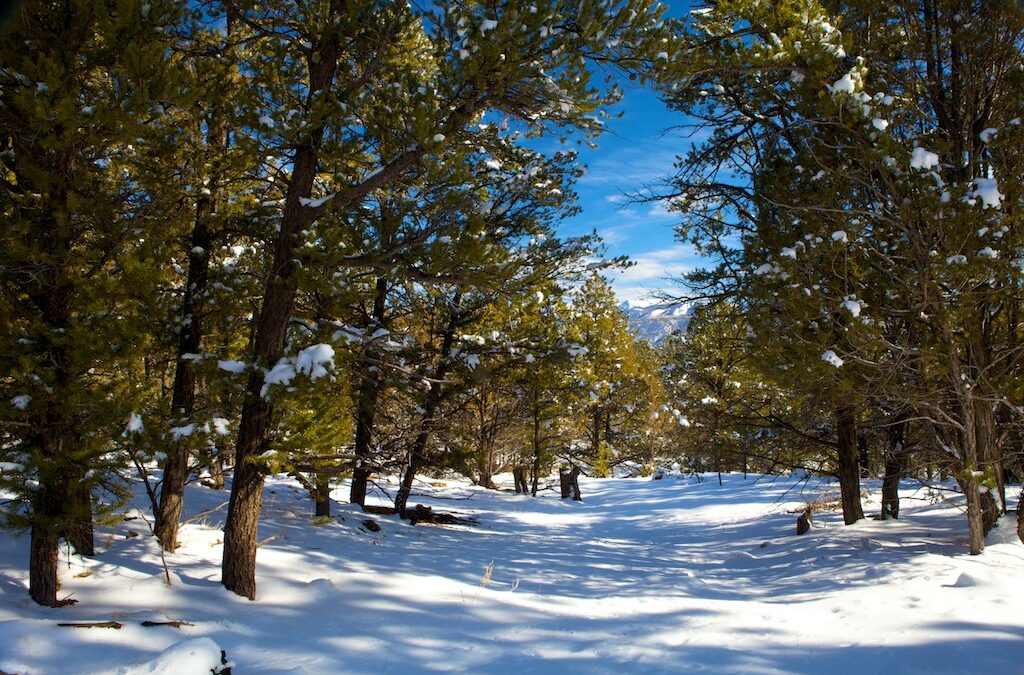New Years Resolution… Spend more time with Nature