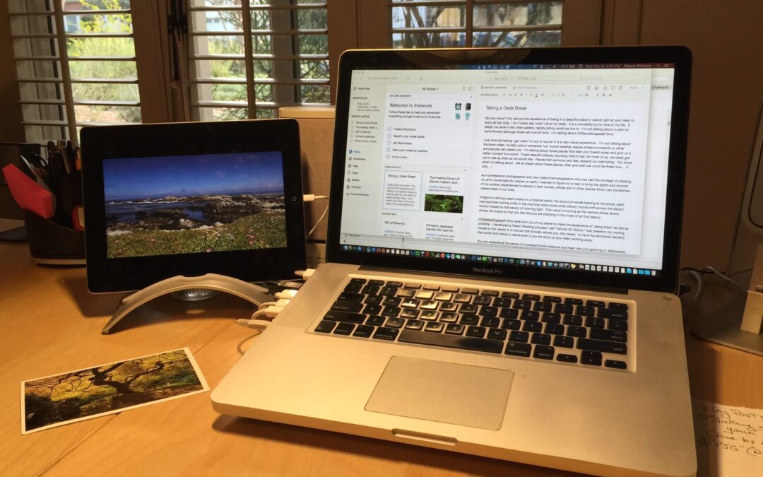 Taking a Spring Break at your Desk
