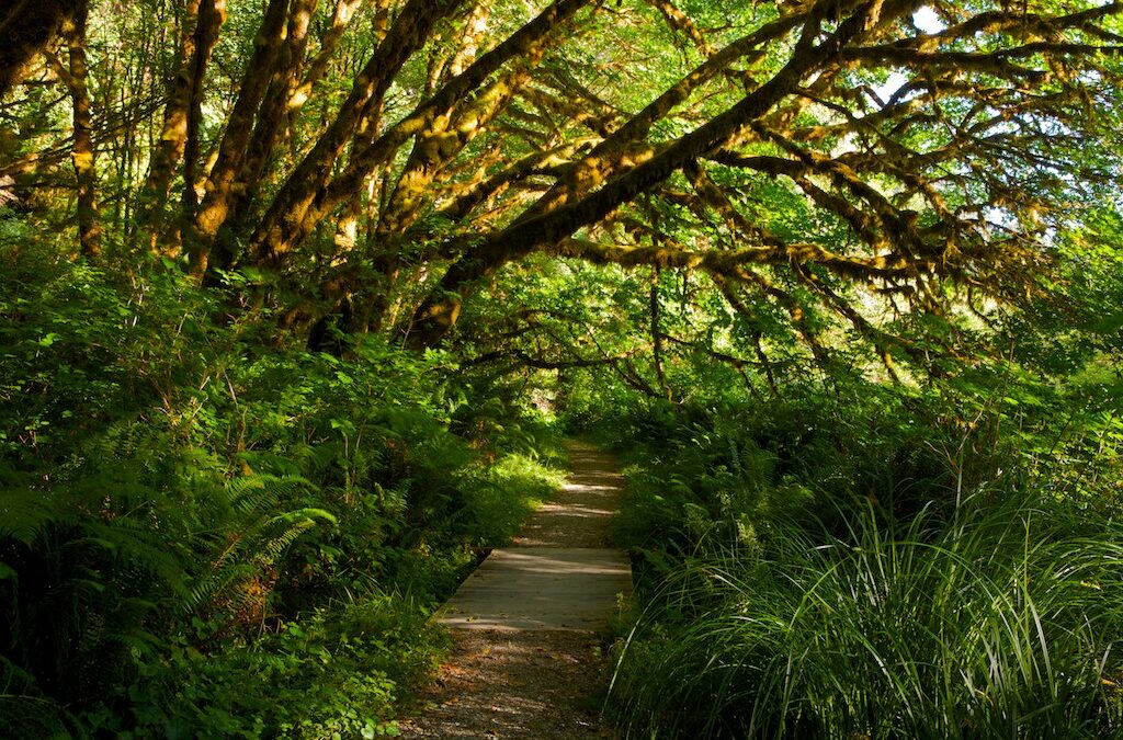 A Summertime Nature Vacation – It Can Be Anytime