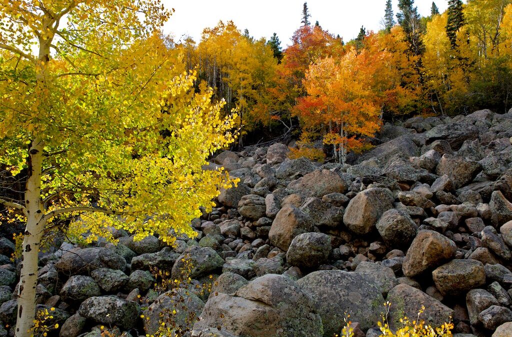 The Making of: “Fall Colors Colorado” HDSereneScapes® film