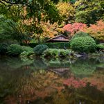 HDSereneScapes Portland Japanese Garden