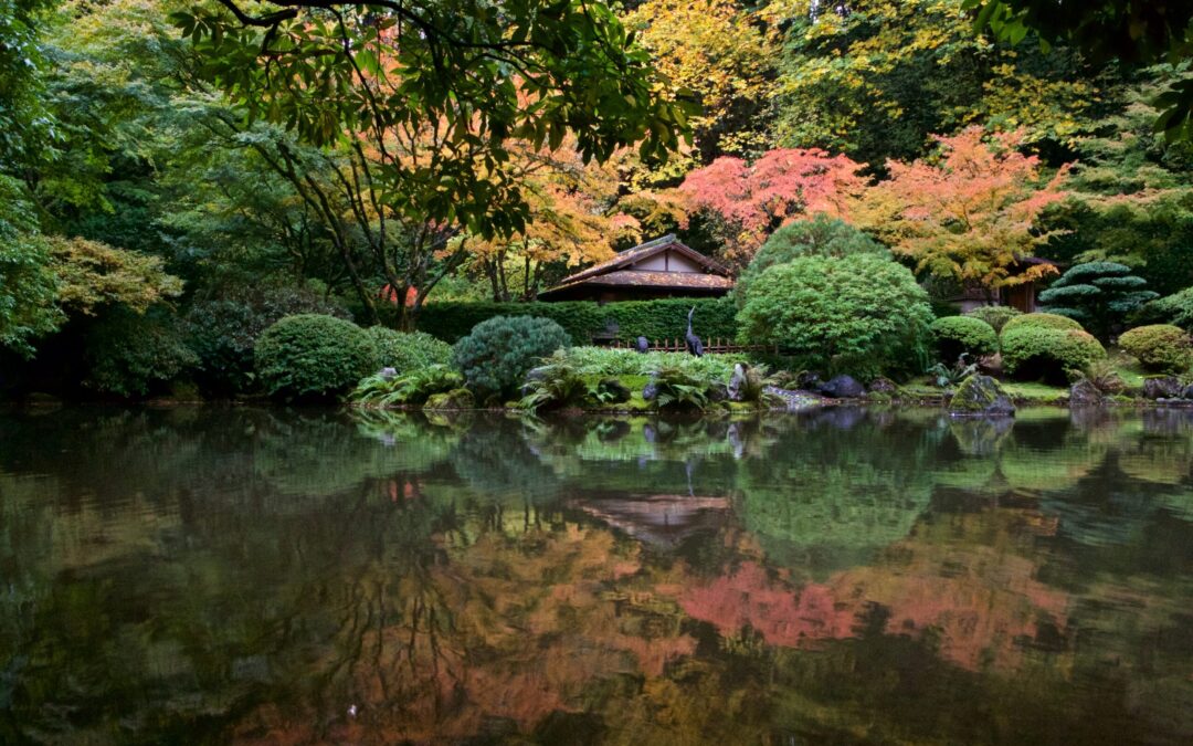 Which HDSereneScapes® Film Makes Me Feel the Most Relaxed