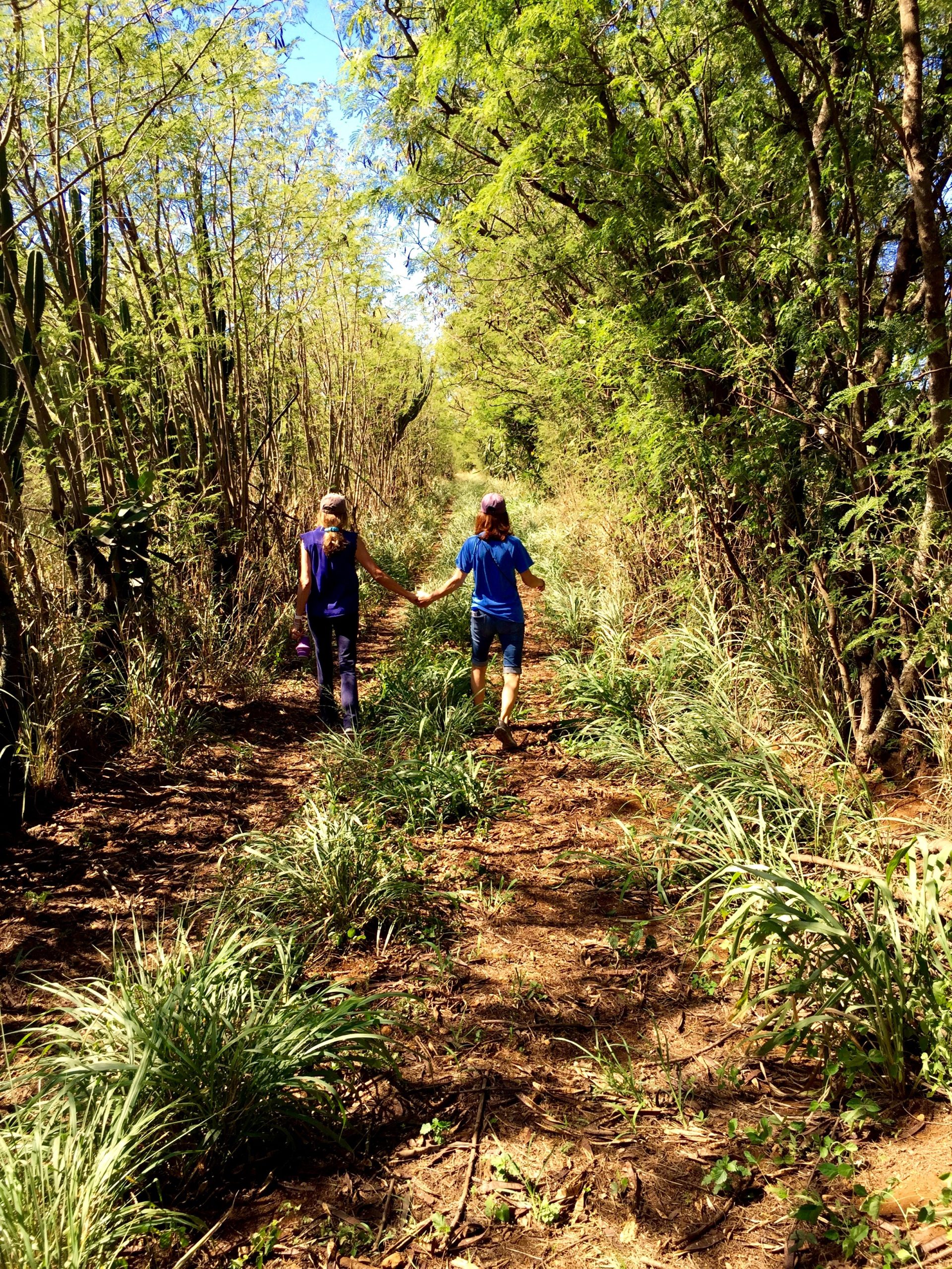 nature walk