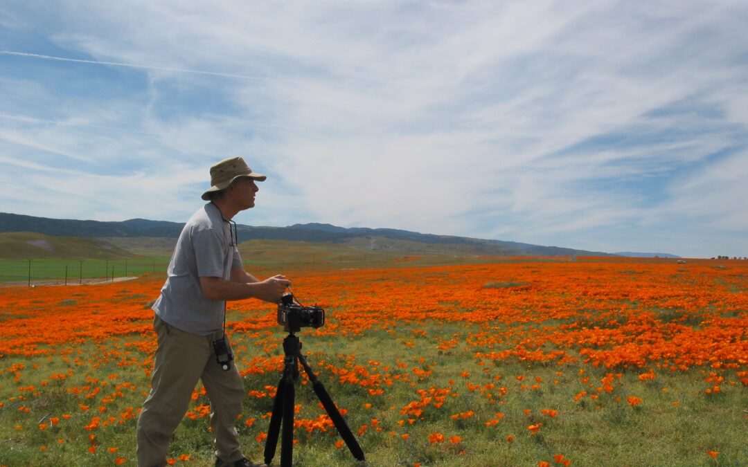 Tips for photographing nature on your summer vacation