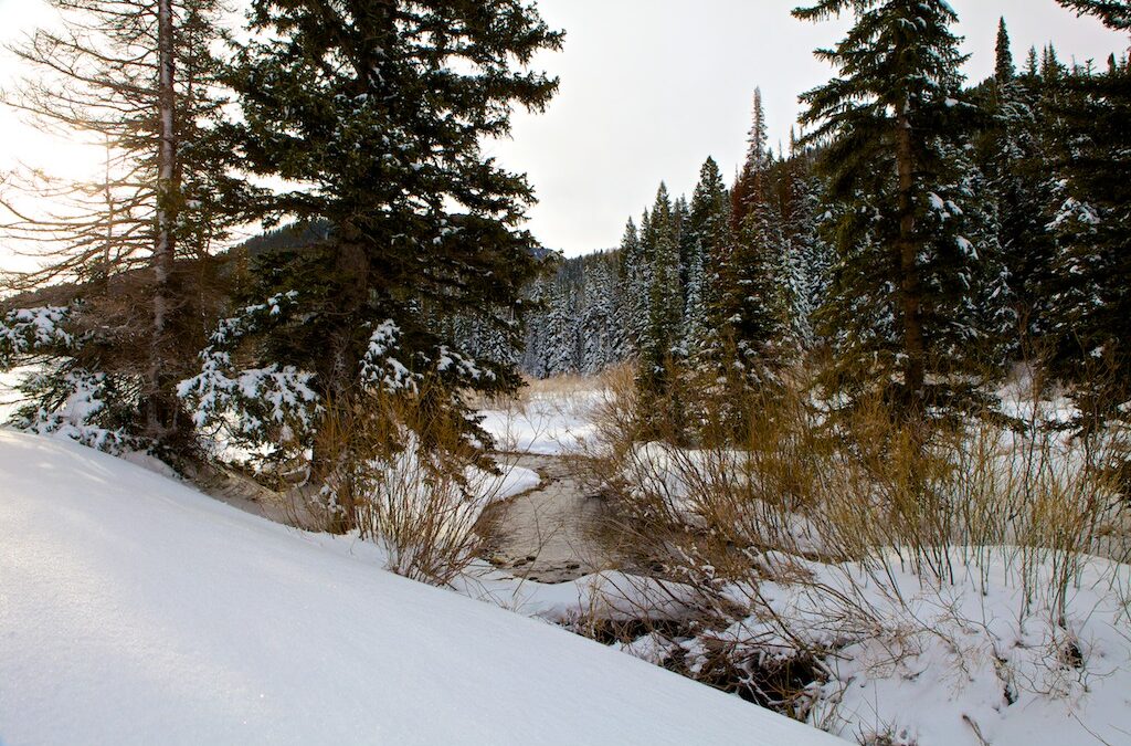 Beat the heat this summer by enjoying your nature at home… with HDSereneScapes®.