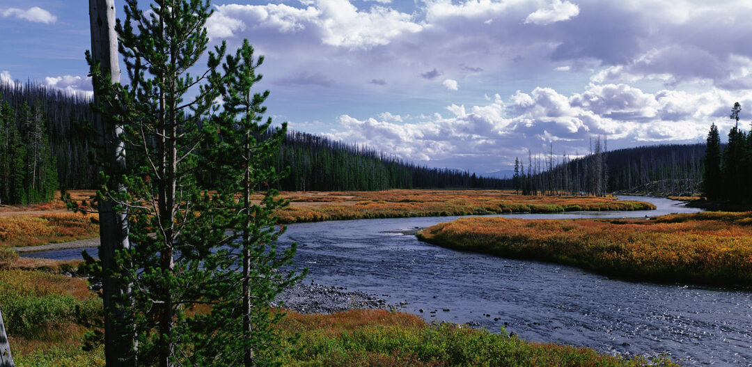 My HDSereneScapes® Bucket List