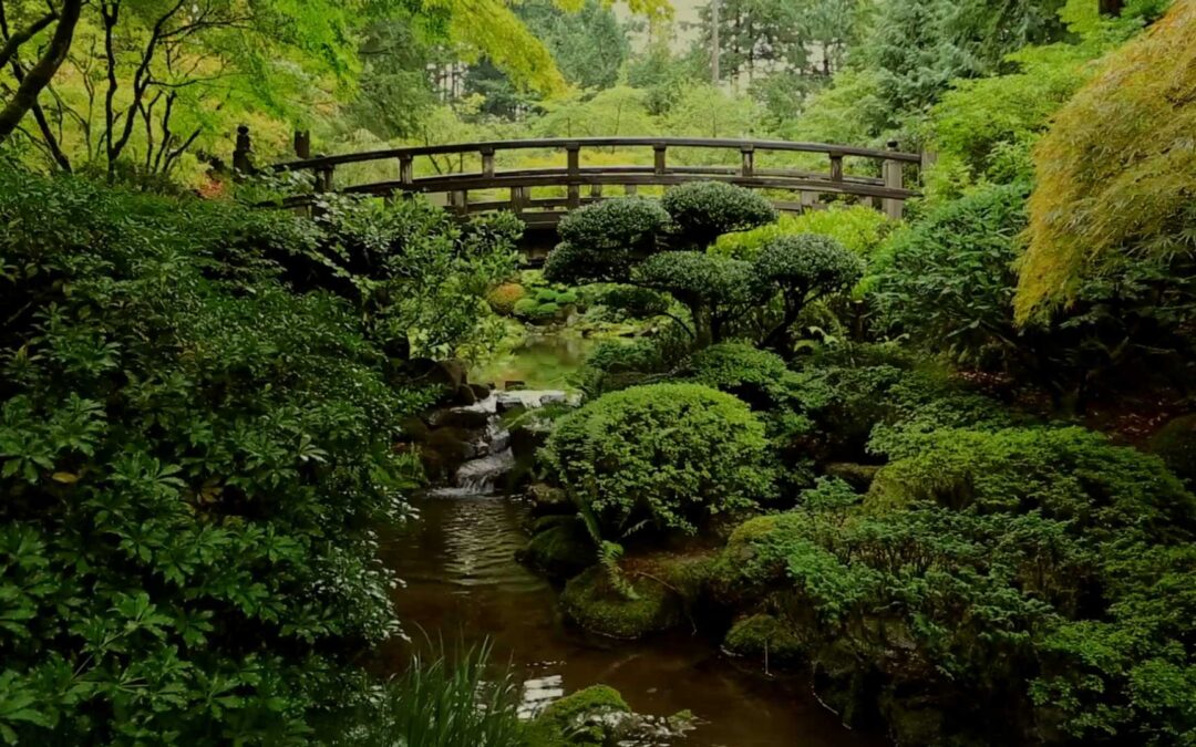 Portland Japanese Garden