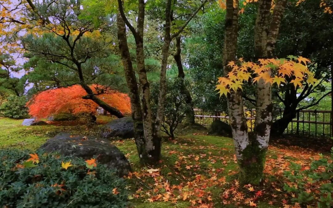 Portland Japanese Garden With Music